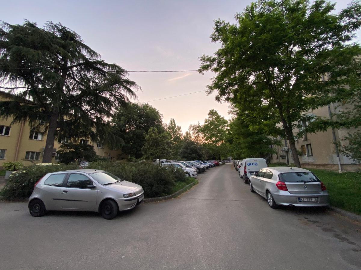 Bright Apartment 45M2 - Free Parking - Wifi Rijeka Exteriör bild